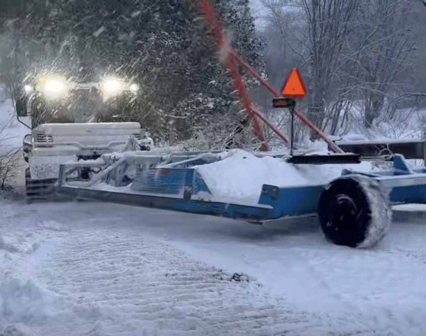 GroomingJanuary17,2026