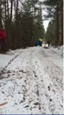 TreeTrimmingTimeLaspe