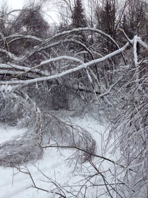 IceStorm2013